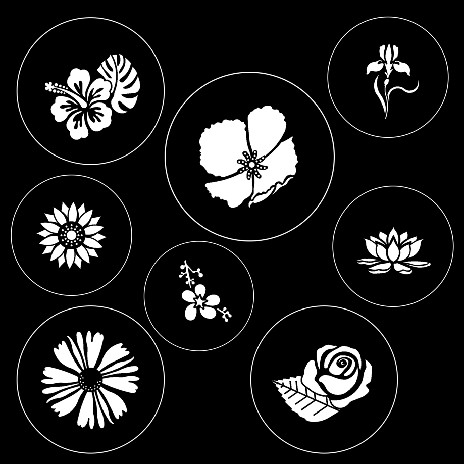 Summer Flower Gobo Series gobonomics