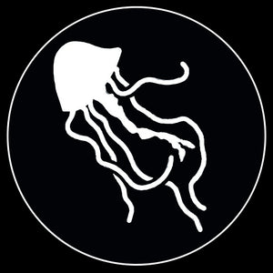 Jellies Gobo, 2 of 6