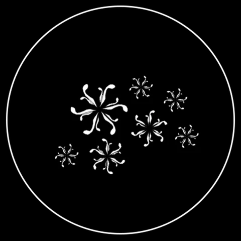 Curvy Snowflake Gobo 6 of 8