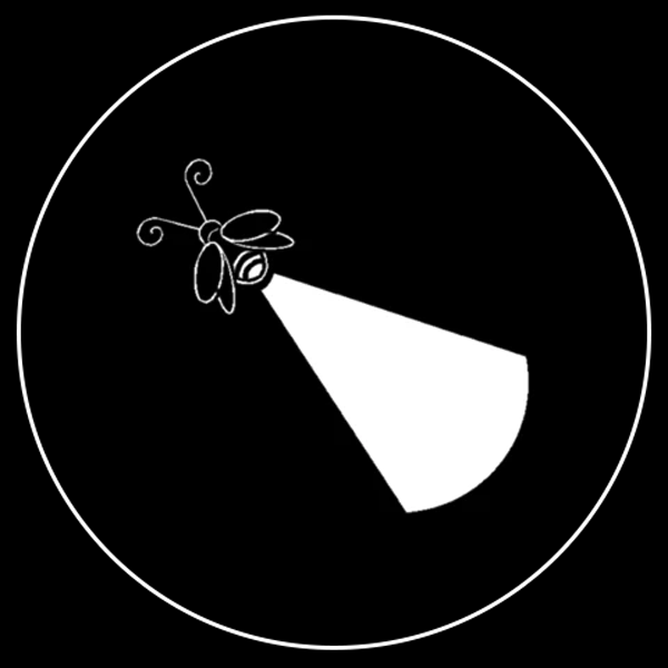 Firefly Sign Gobo Series of 9 Designs